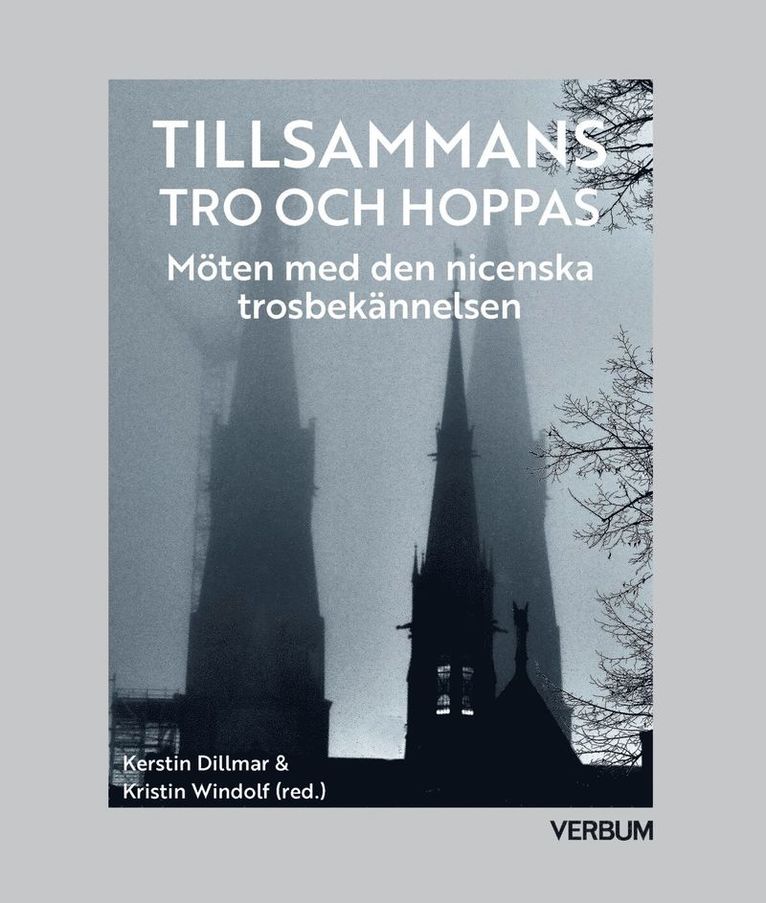 Tillsammans tro och hoppas : möten med den Nicenska trosbekännelsen 1