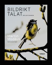 bokomslag Bildrikt talat : reflektionsbok