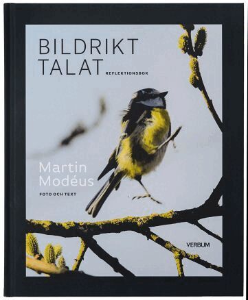 Martin Modéus - Bildrikt talat : reflektionsbok, Inbunden
