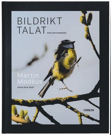 bokomslag Bildrikt talat : reflektionsbok