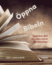 bokomslag Öppna Bibeln : upptäck ditt liv i den stora berättelsen