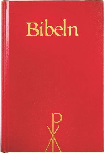 bokomslag Bibel 2000, storstil