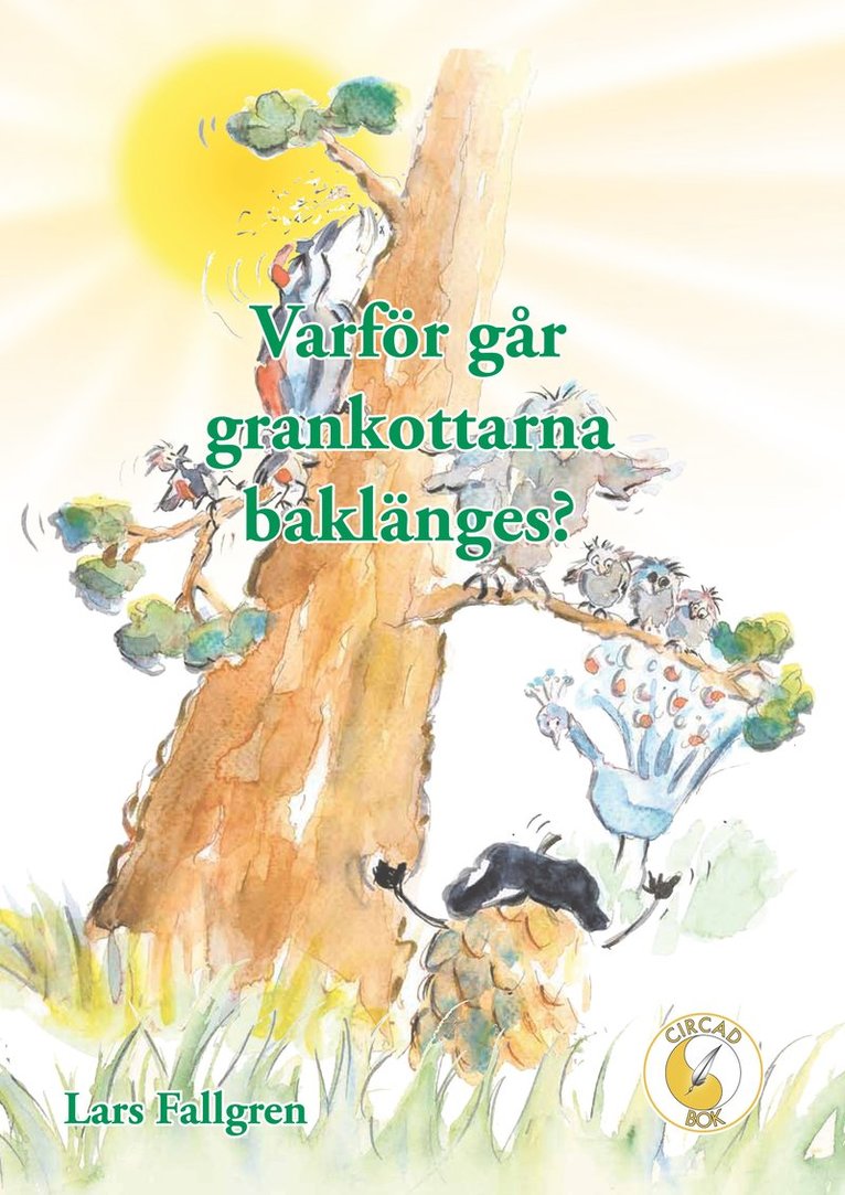 Varför går grankottarna baklänges? 1