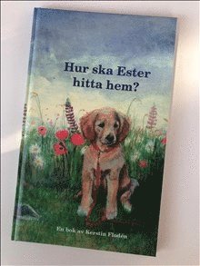 bokomslag Hur ska Ester hitta hem?