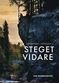 bokomslag Mediumskap i vardagen II : steget vidare