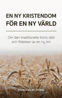 bokomslag En ny kristendom för en ny värld : om den traditionella trons död och födelsen av en ny tro