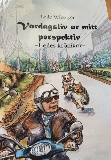 bokomslag Vardagsliv ur mitt perspektiv : Lelles krönikor