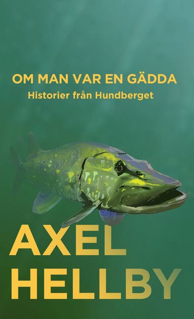 bokomslag Om man var en gädda : Historier från Hundberget