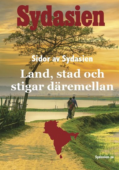 bokomslag Sidor av Sydasien : land, stad och stigar däremellan