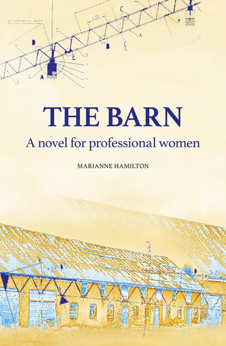 The Barn : a novel for professional woman