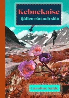 bokomslag Kebnekaise : fjällen rätt och slätt