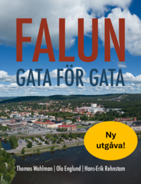 bokomslag Falun gata för gata