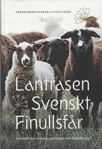 bokomslag Lantrasen Svenskt Finullsfår