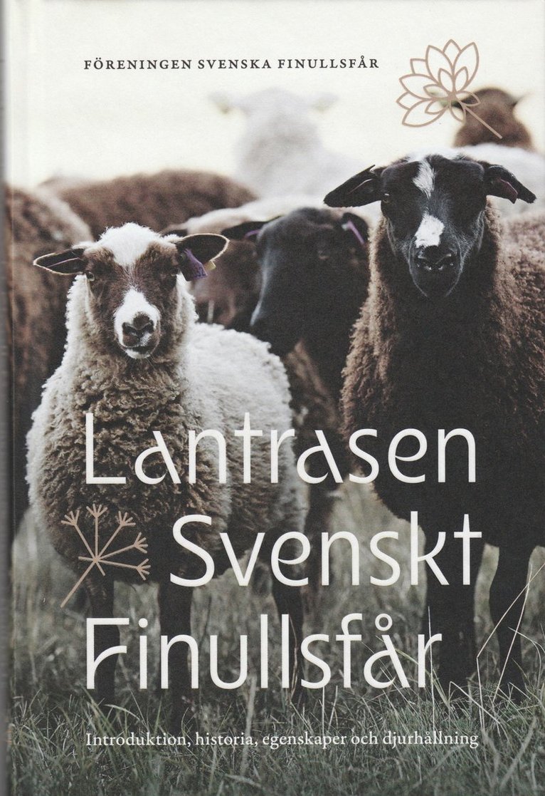Lantrasen Svenskt Finullsfår 1