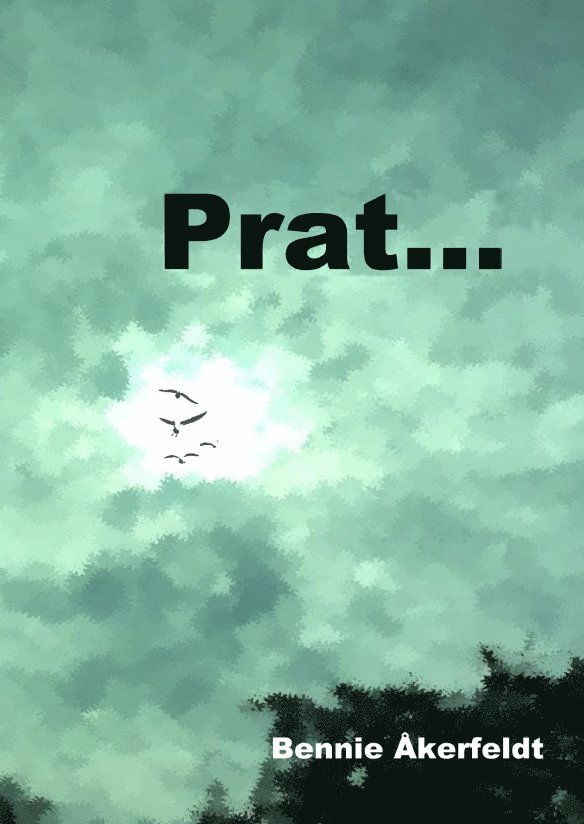 Bennie Åkerfeldt - Prat, Kartonnage