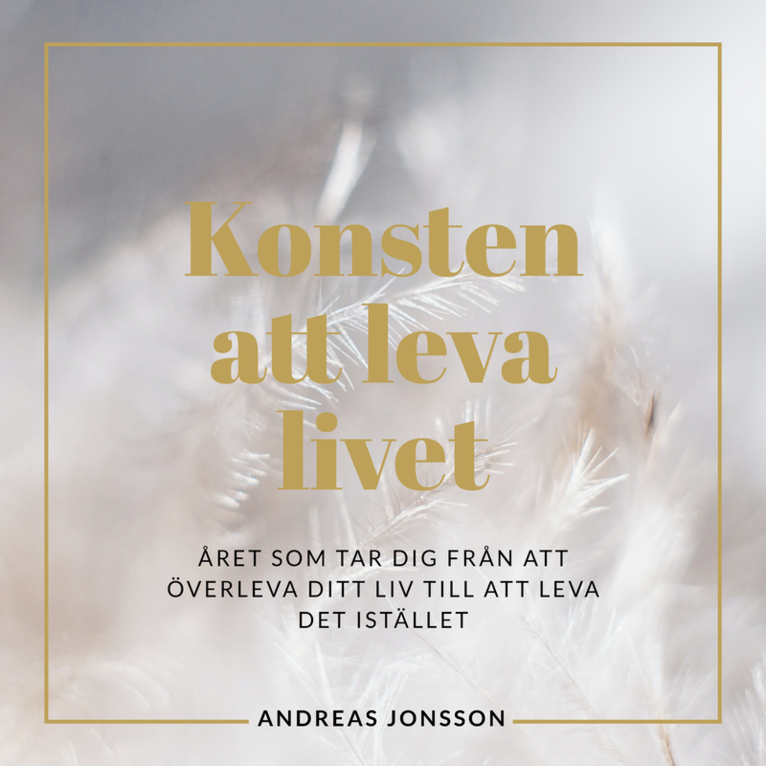 Konsten att leva livet : Året som tar dig från att överleva ditt liv till att leva det istället 1