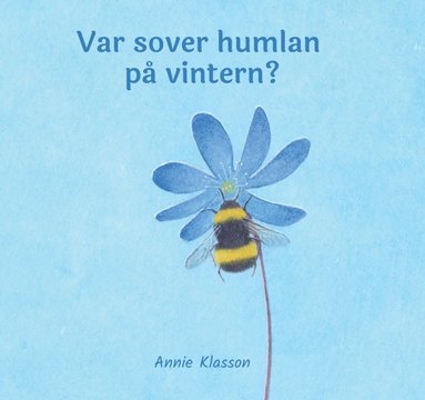 bokomslag Var sover humlan på vintern?