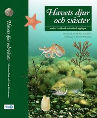 bokomslag Havets djur och växter