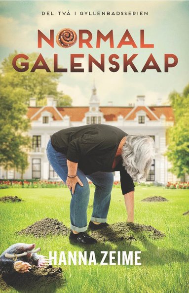 bokomslag Normal galenskap