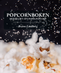 bokomslag Popcornboken : det är lätt att poppa popcorn