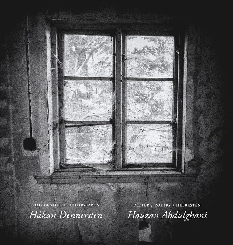 Houzan Abdulghani - The beauty in the ravage of time, Häftad