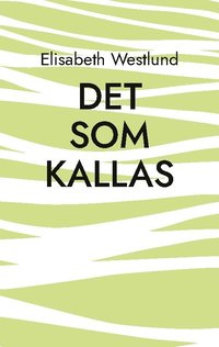 bokomslag Det som kallas