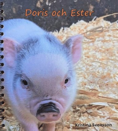 bokomslag Doris och Ester