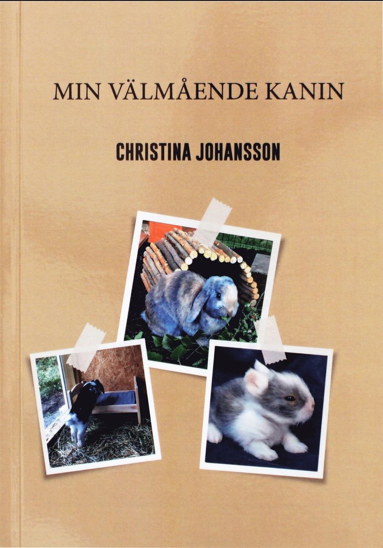 Min välmående kanin 1