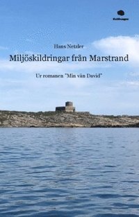 bokomslag Miljöskildringar från Marstrand : ur romanen "Min vän David"