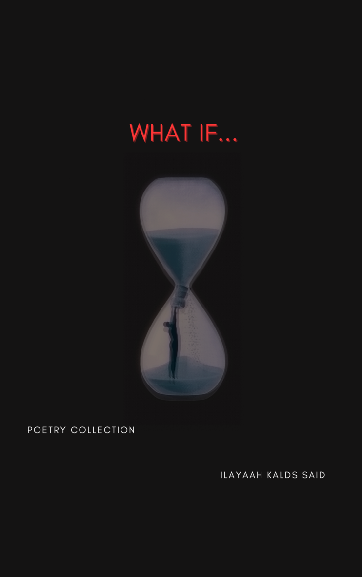 The sun in the night : poetry