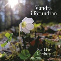bokomslag Vandra i förundran : Om och med naturmeditationer.