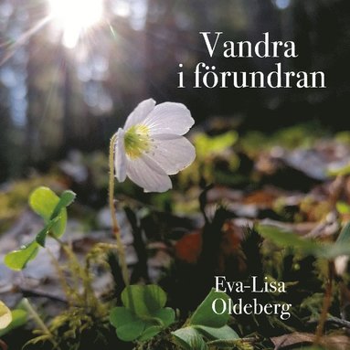bokomslag Vandra i förundran : Om och med naturmeditationer.