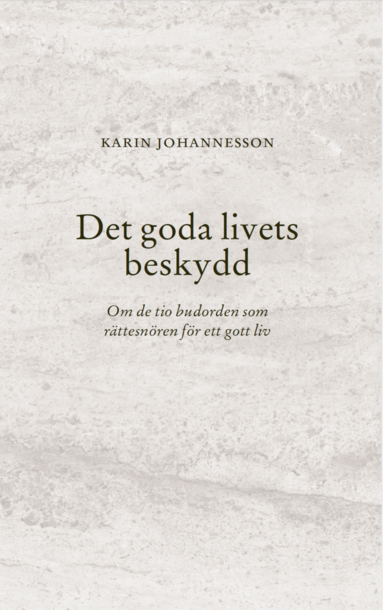 bokomslag Det goda livets beskydd : Om de tio budorden som rättesnören för ett gott liv
