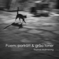 bokomslag Poem, porträtt & gråa toner