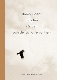 bokomslag Däremellan