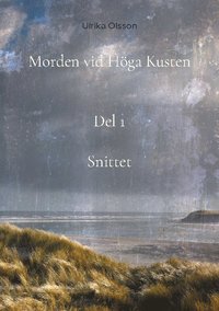 bokomslag Morden vid Höga Kusten