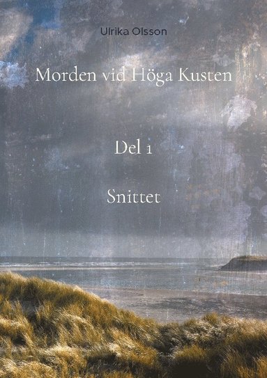 bokomslag Morden vid Höga Kusten. Snittett