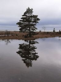 bokomslag Mellan två klanger