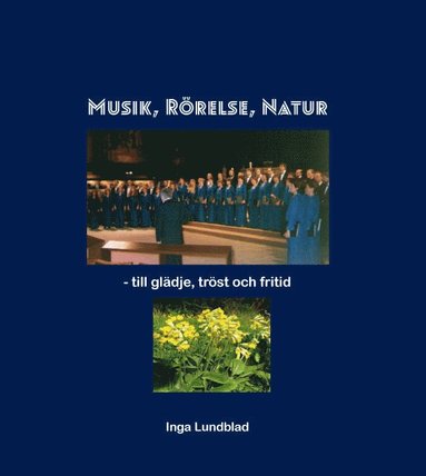 bokomslag Musik, Rörelse, Natur