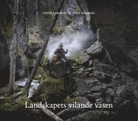 bokomslag Landskapets vilande väsen