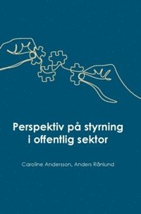 bokomslag Perspektiv på styrning i offentlig sektor