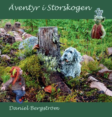 Daniel Bergström - Äventyr i Storskogen, Inbunden