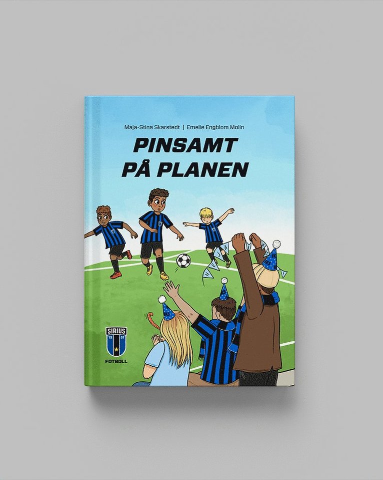 Pinsamt på planen 1