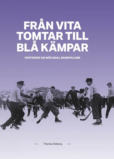 bokomslag Från Vita tomtar till Blå kämpar : historier om Mölndals Bandyklubb