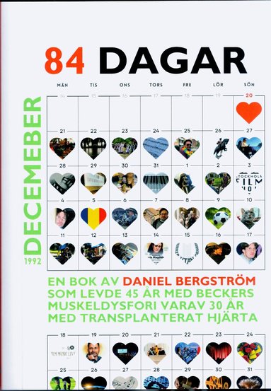 Daniel Bergström - 84 dagar, Häftad