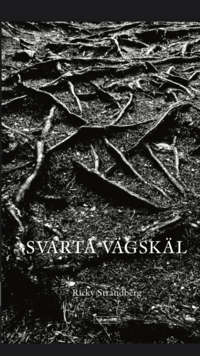 bokomslag Svarta vägskäl