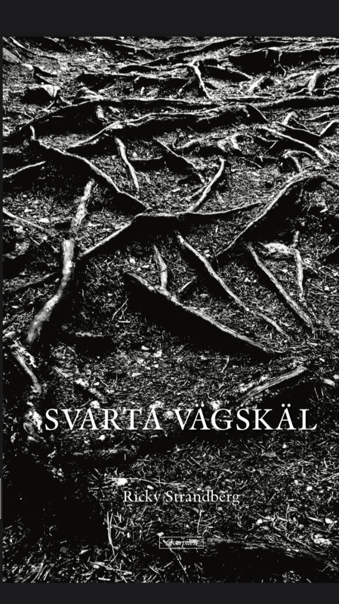 Svarta vägskäl 1