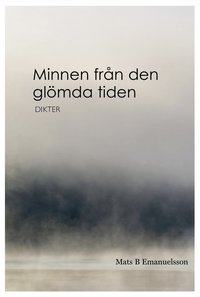 bokomslag Minnen från den glömda tiden