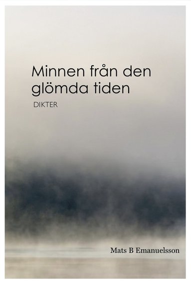 bokomslag Minnen från den glömda tiden