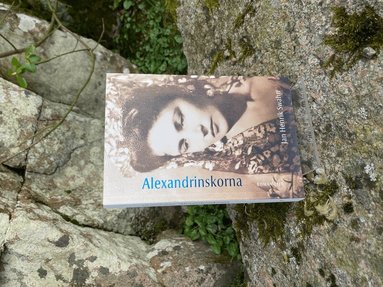 Jan Henrik Swahn - Alexandrinskorna, Häftad